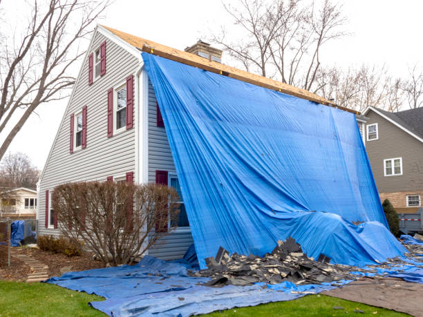 Affordable siding repair and maintenance services in Grant Park, IL